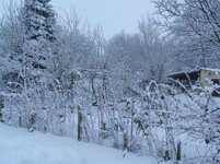 snow 17th to the 20th December 2009 018.jpg