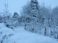 snow 17th to the 20th December 2009 019.jpg