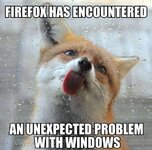 firefox windows problem.jpg