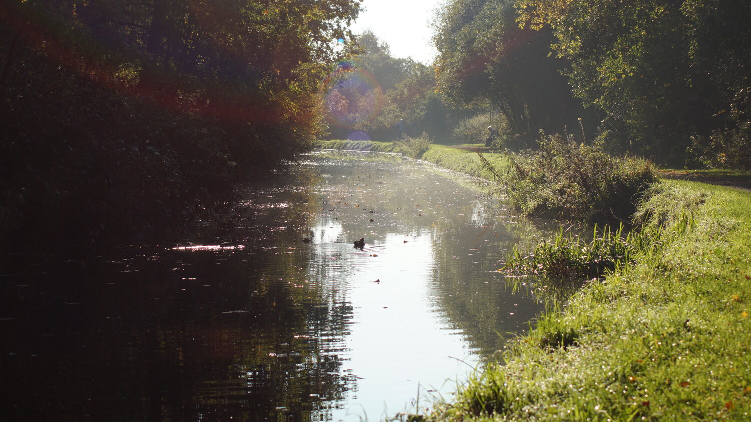 2015-11-01 Chesterfield Canal - (19).JPG