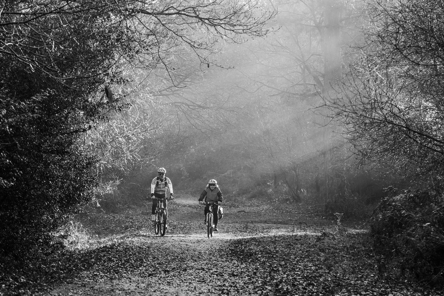 a Cycling New Forest 1.jpg