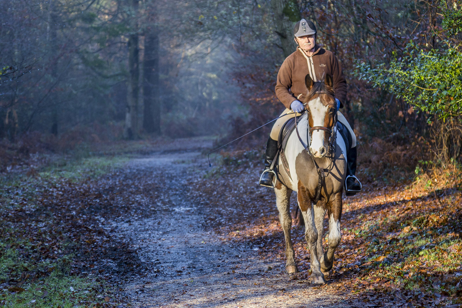 a Horse riding New Forest 1.jpg