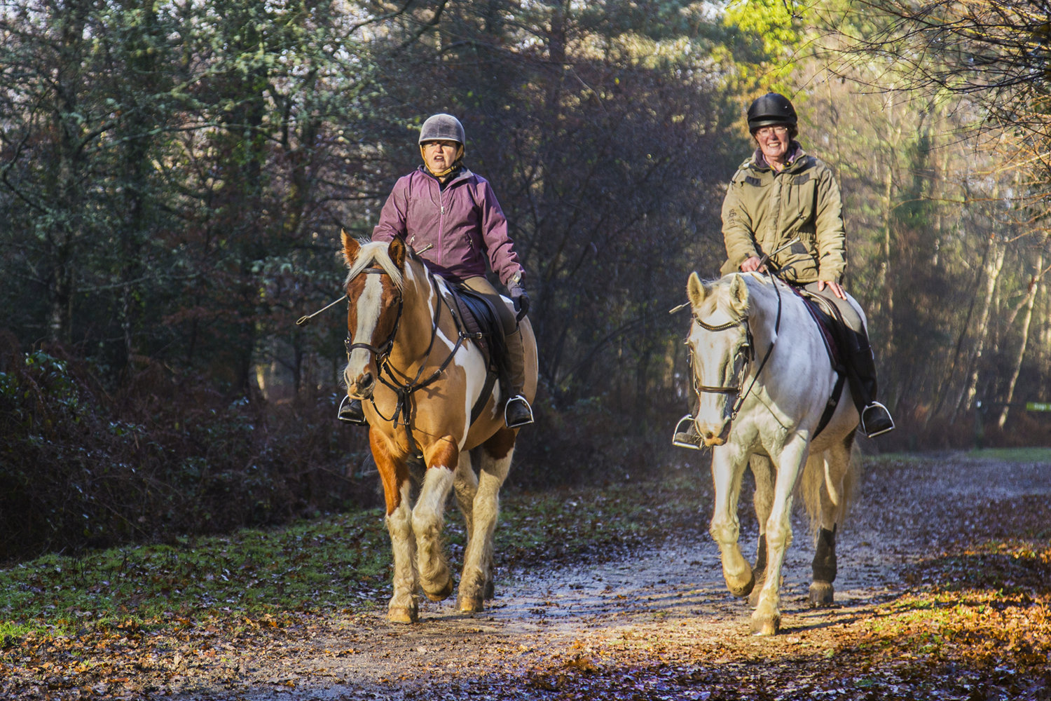 a Horse riding New Forest 2.jpg