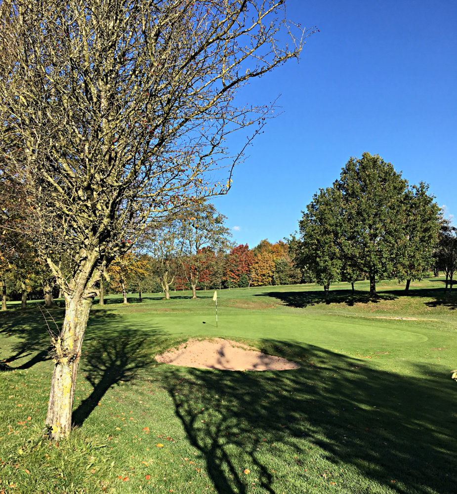 Autum Golf.jpg