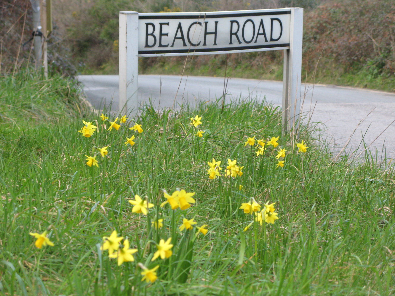 beach road.JPG