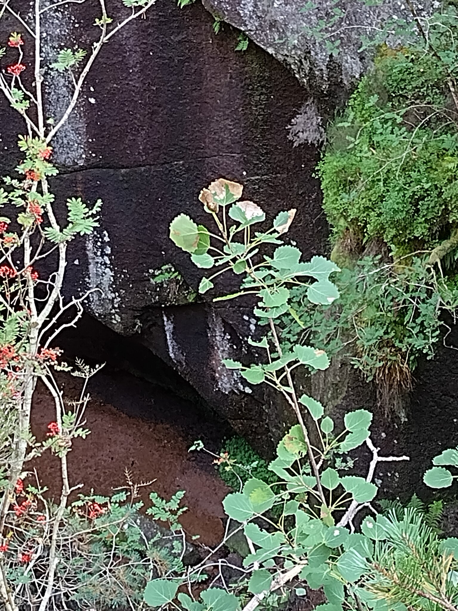 Burn O Vat Waterfall from above 2.jpg