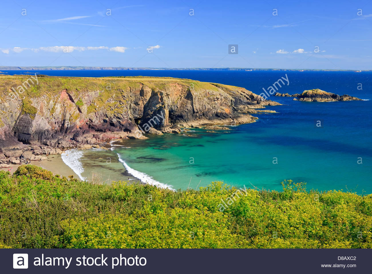 caerfai-bay-st-davids-pembrokeshire-wales-D8AXC2.jpg