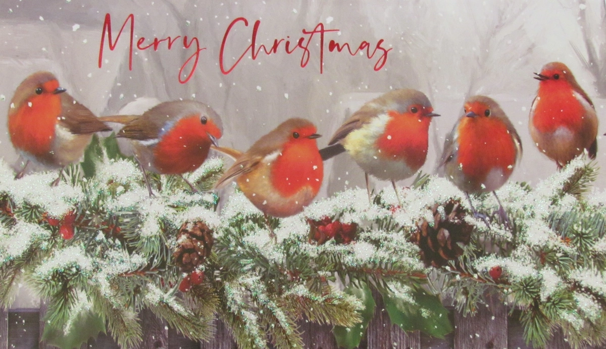 Christmas Robins.webp