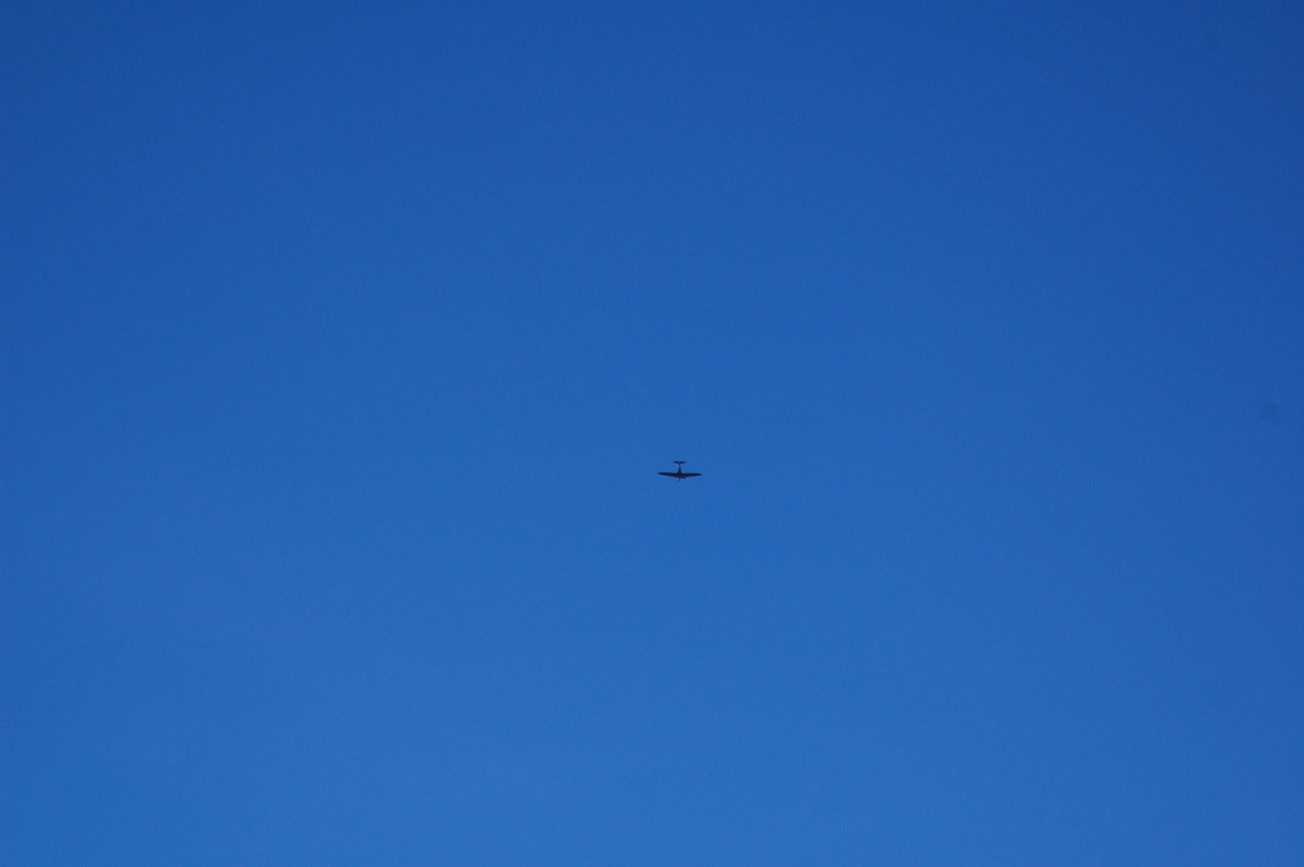 DSC_3411.webp