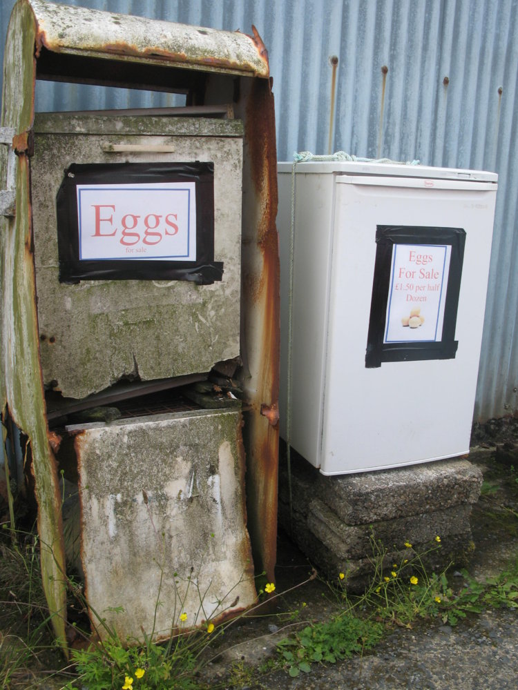 egg shop.JPG