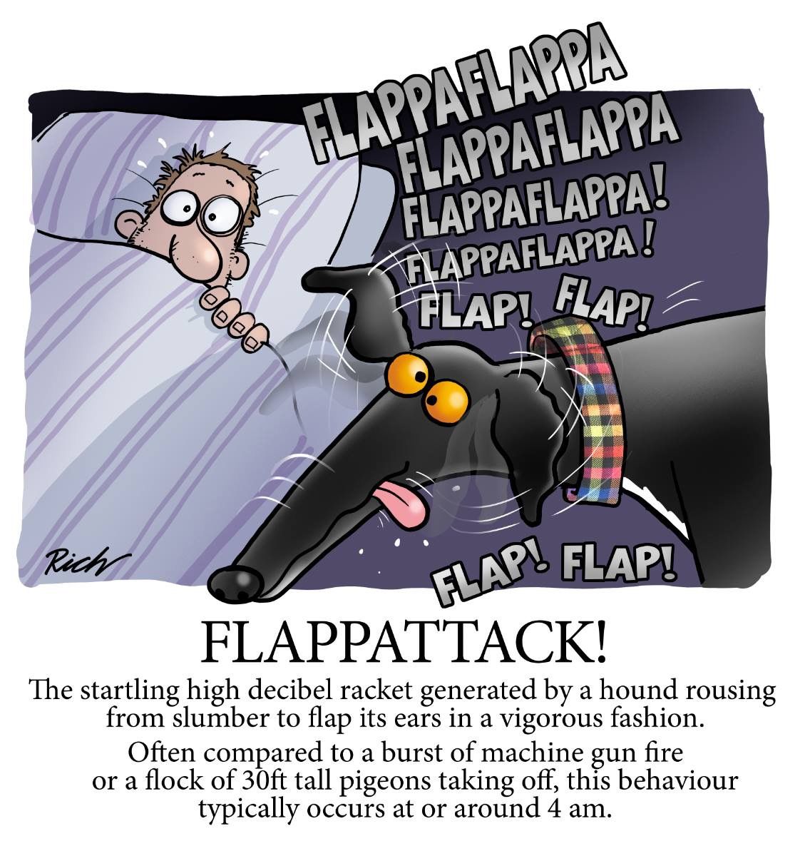 Flap Attack.jpg