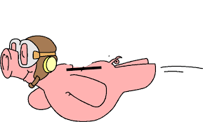 Flying pig.png