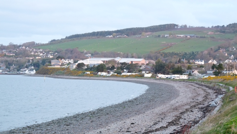 Fortrose site 1.jpg