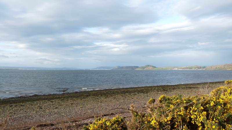 Fortrose site 5.jpg