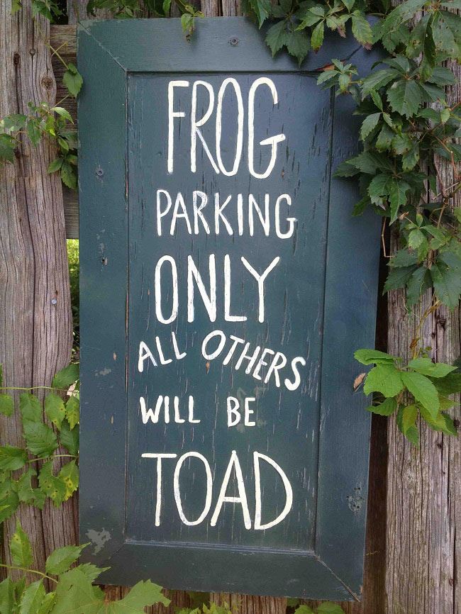 Frog parking.jpg