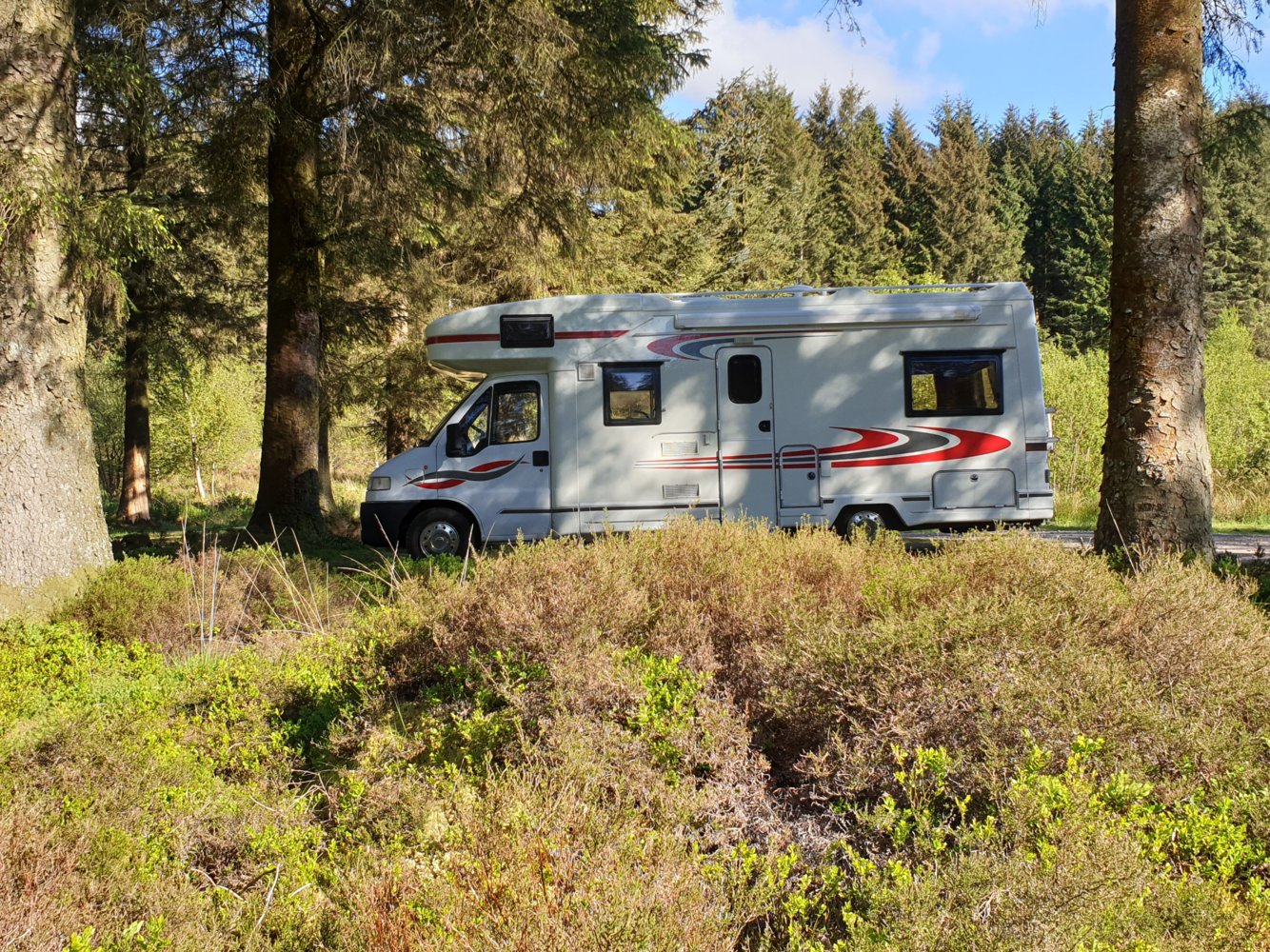 Glen Trool may 2019 4.jpg