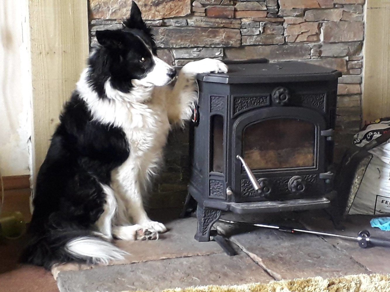 Hound woodburner.jpg