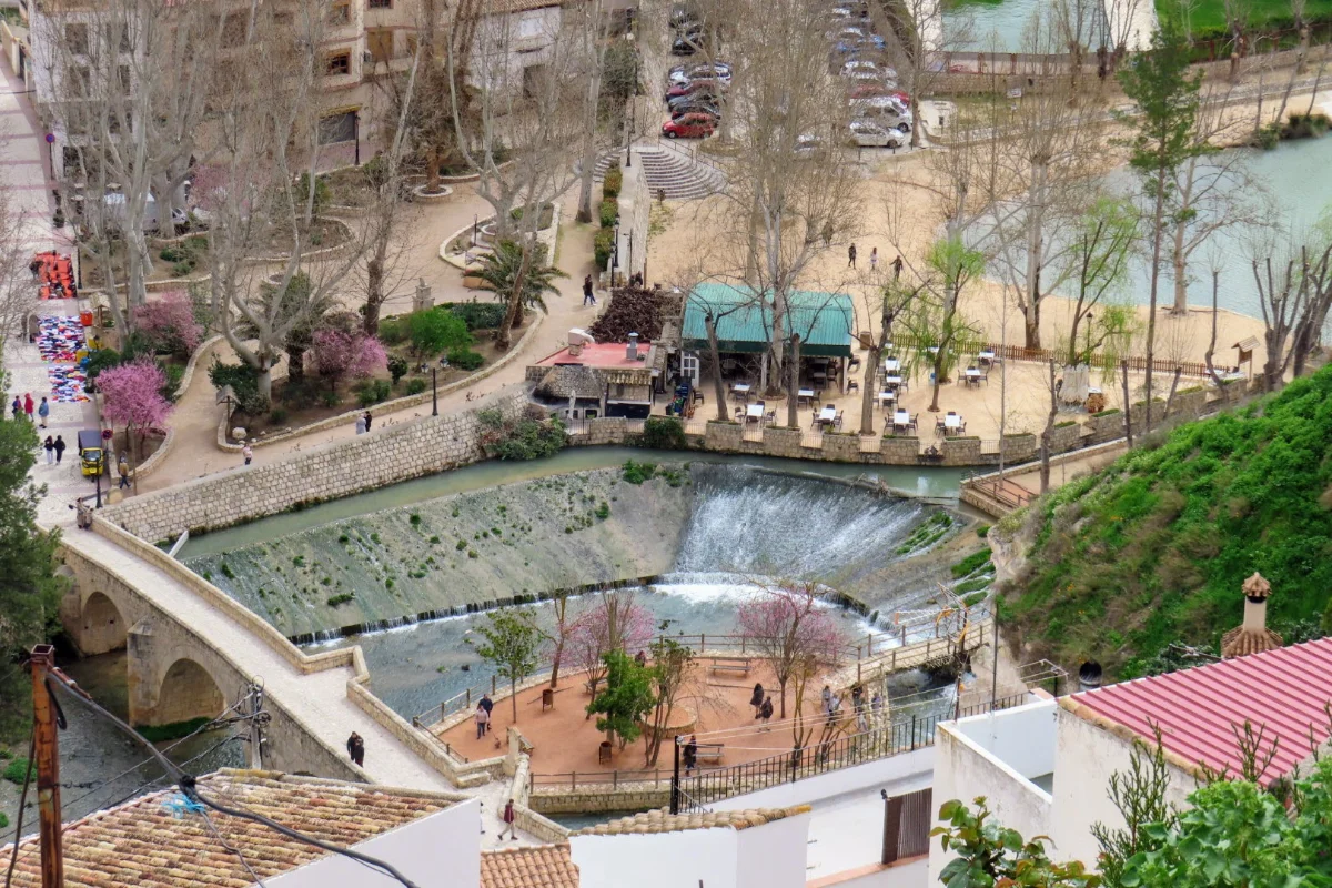 image.webp