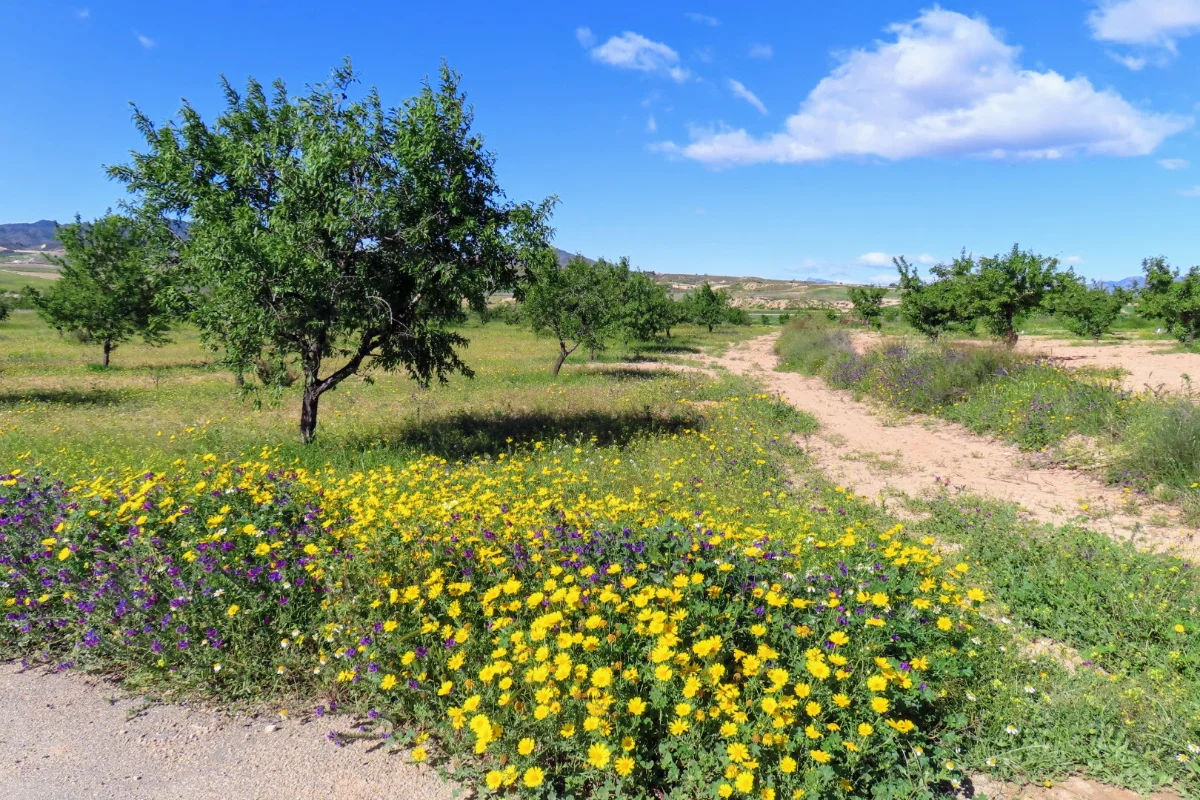 image.webp