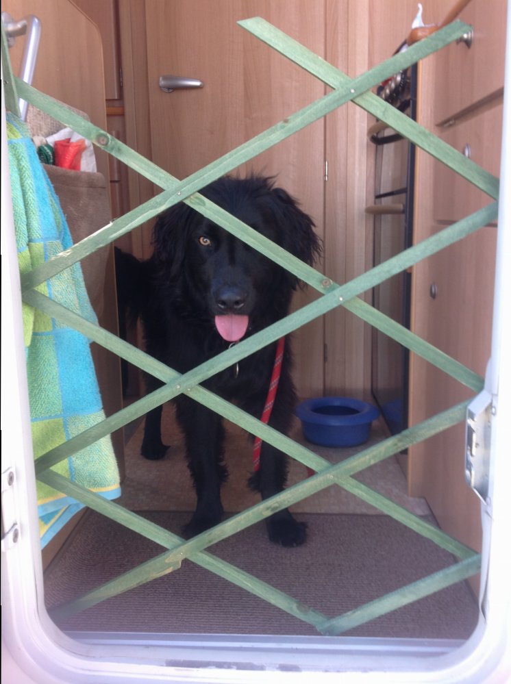 Dog gate clearance for caravan door