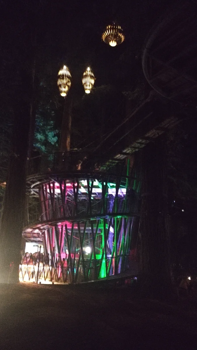 IMG_20250315_204347.webp