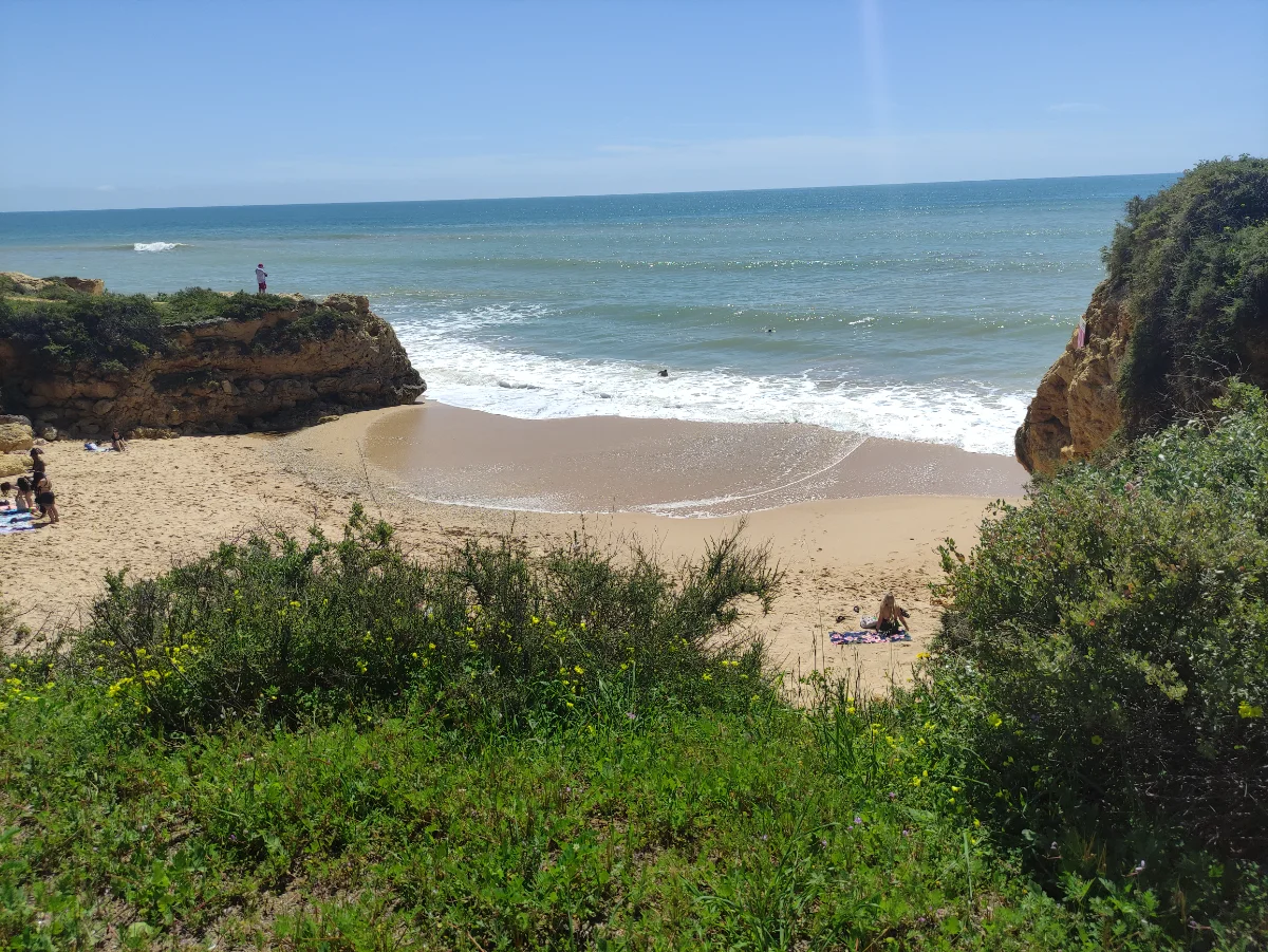 IMG_20250407_134529.webp