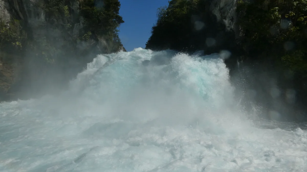 P1150286.webp