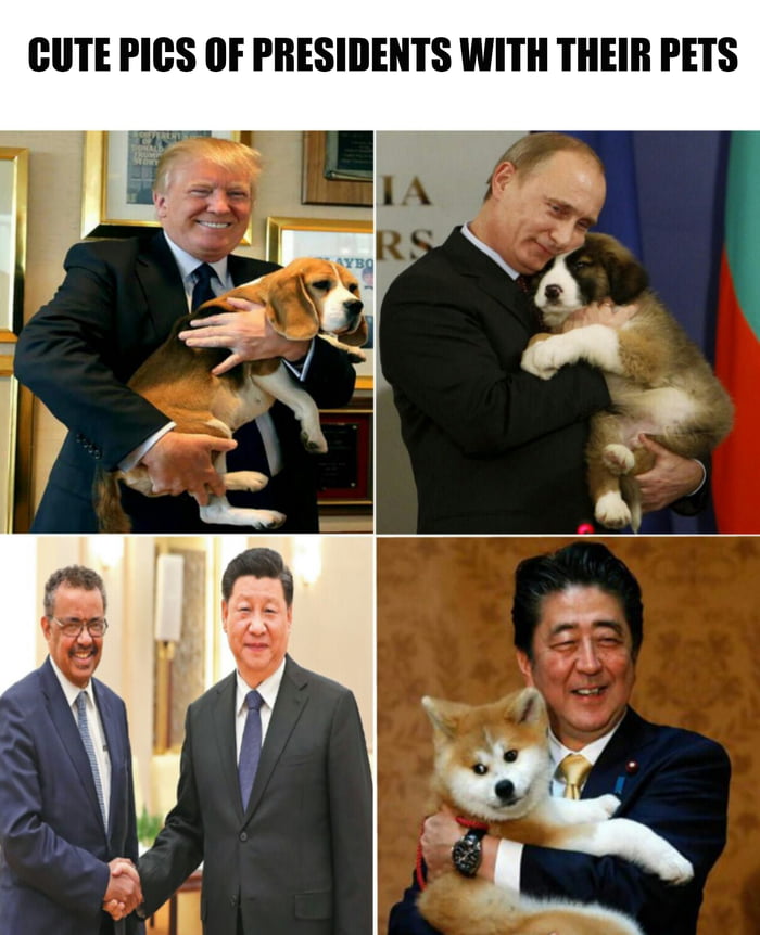 Presidents and their pets.jpg