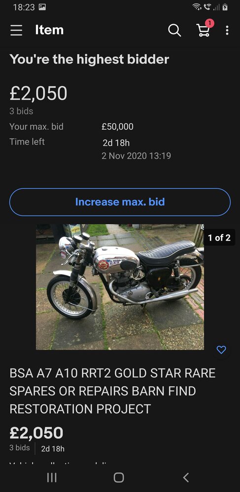 Screenshot_20201030-182308_eBay.jpg