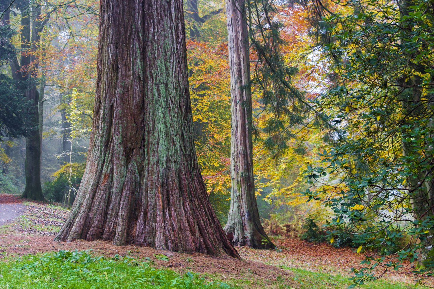 Stourhead 5.jpg