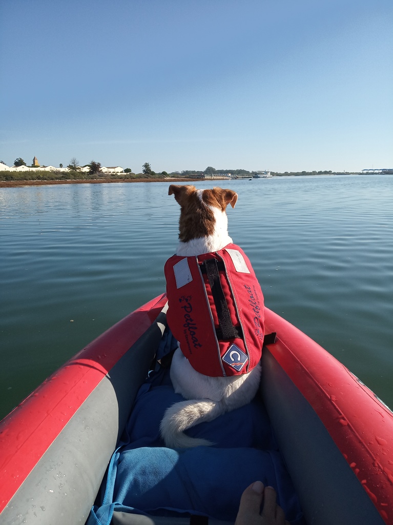 Tazzy in kayak.jpg