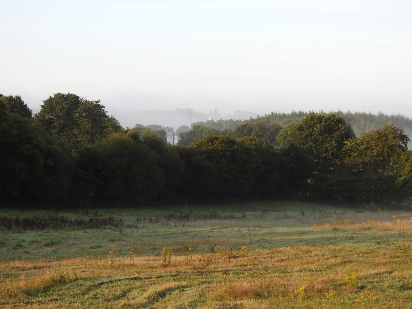 View from bedroom.jpg