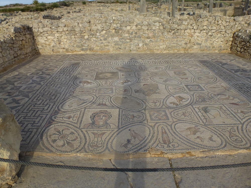 volubilis mosaics 2.jpg