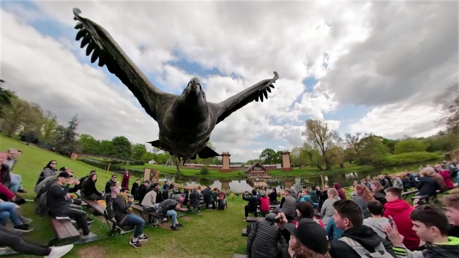 Warwick castle falconry display.jpg