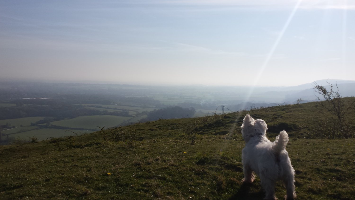 Wolstonbury  Hill.jpg