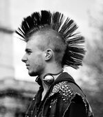 mohawk-haircut_zps11a4d661.jpg