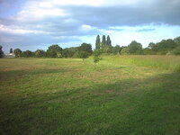 rally field 014.JPG