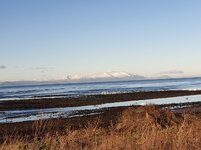 Arran from beach.jpg