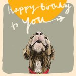 poet-painter-birthday-plane-dog-card-5662-1-p.jpg