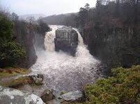 high force.jpg