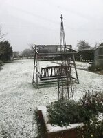 Snow A 04122020.JPG