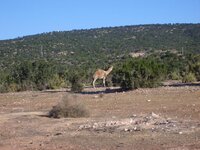 Spain morroco tour 2011-12 100.jpg