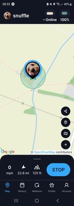 Screenshot_20240820_083316_Tractive GPS.jpg