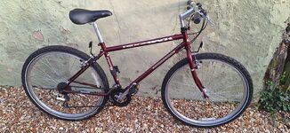 Ladies Ridgeback mountain bike