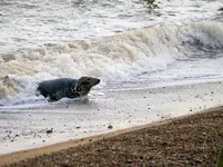 Aldeburgh-6.webp