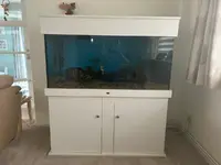 Large Tropical Aquarium Set Up